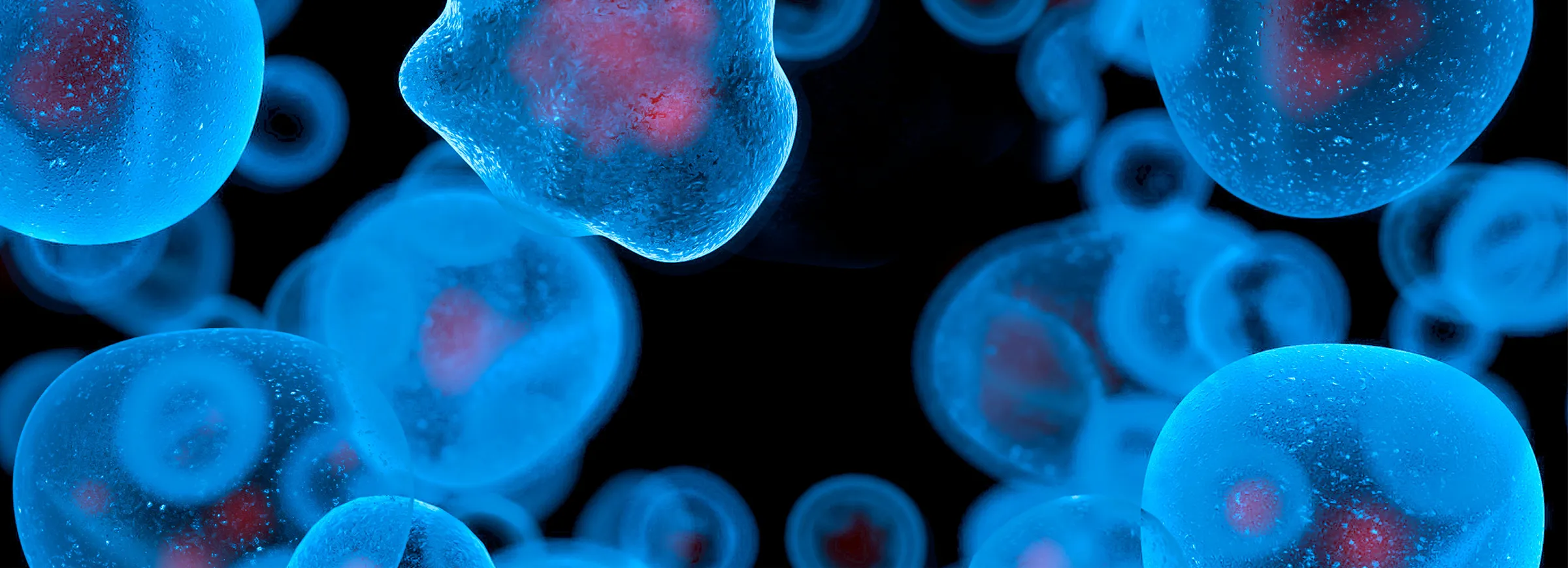 Graphic of Effected Cells