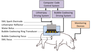 A diagram of how the pig was monitored during the experiment