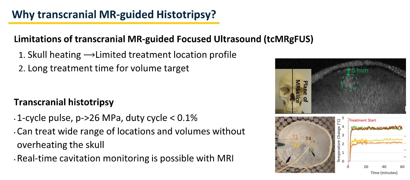 Why transcranial MR-guided Histotripsy? slide